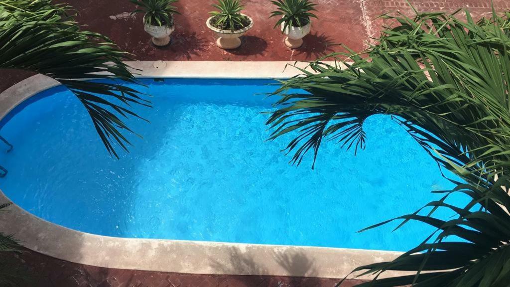 Arcoiris Share Apartment Bavaro Пунта-Кана Экстерьер фото